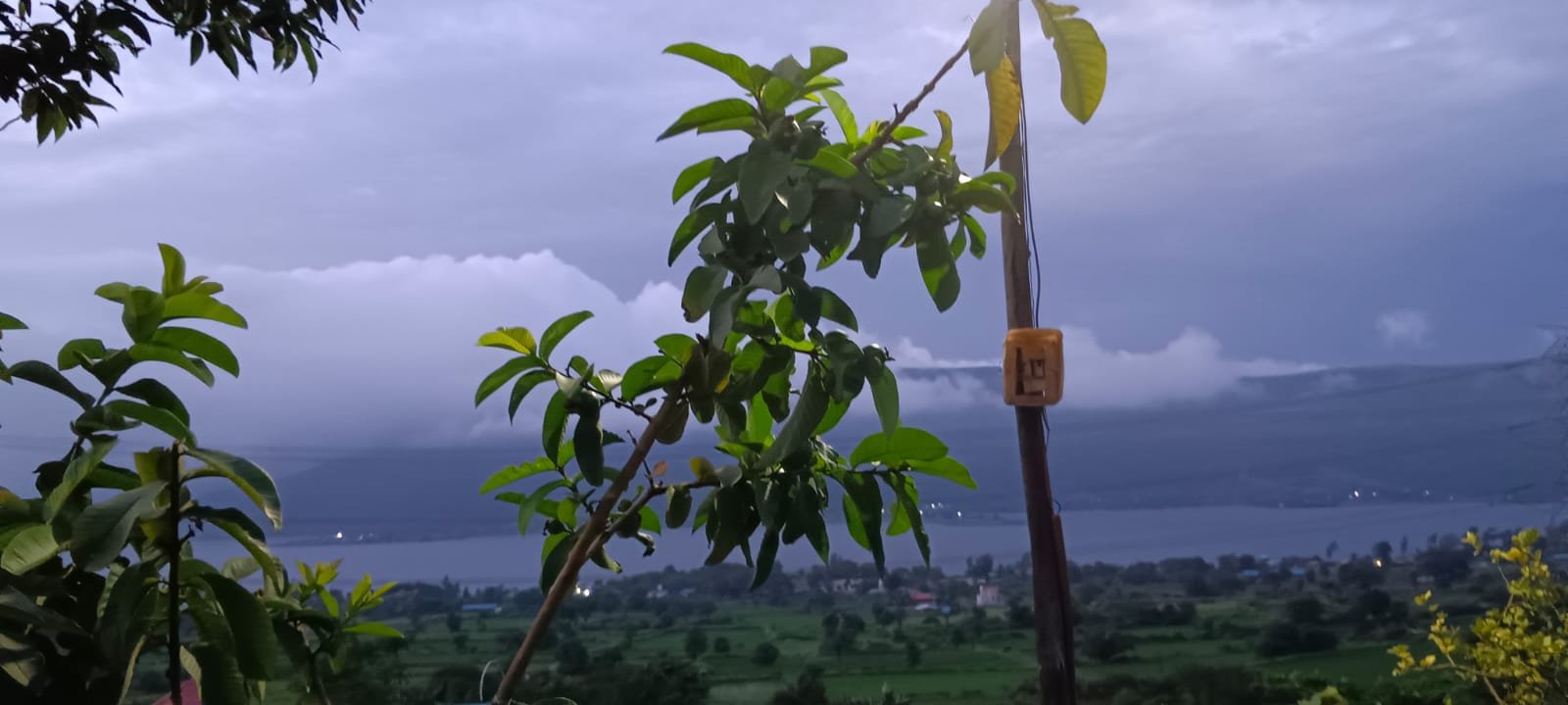 Wintry Mountain Landscape